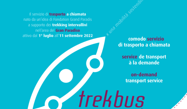 treck-bus